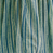 Kyra Mini Dress ~ Cumin
